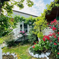 Коттеджный комплекс Mozaika, Гагрский район