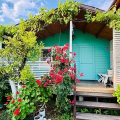 Коттеджный комплекс Mozaika, Гагрский район