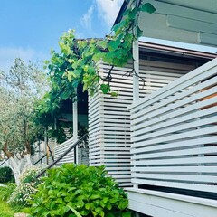 Коттеджный комплекс Mozaika, Гагрский район