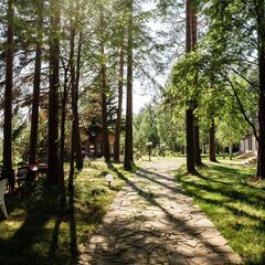 Загородный комплекс Пять Звезд Цвелодубово, Ленинградская область