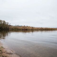 Загородный комплекс Пять Звезд Цвелодубово, Ленинградская область