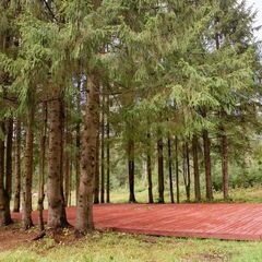 Загородный комплекс Пять Звезд Цвелодубово, Ленинградская область