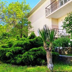 Пансионат Звездный, Краснодарский край