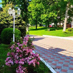 Пансионат Звездный, Краснодарский край