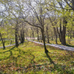 Пансионат Звездный, Краснодарский край