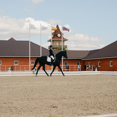 Парк-отель История, Рязанская область