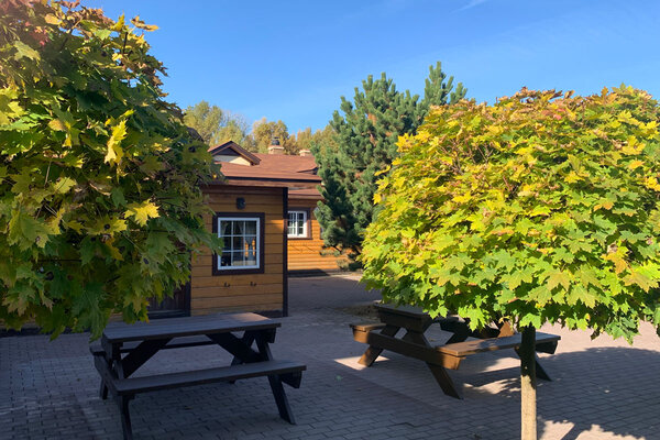 Территория