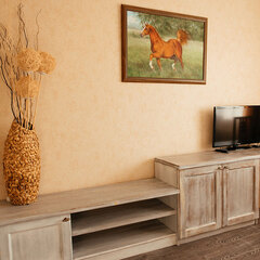 Парк-отель История, Рязанская область