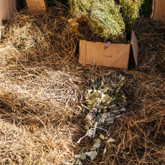 Отель Green Landiya Hotel, Алтайский край