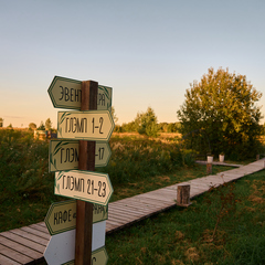Глэмпинг Ива СПА, Тульская область