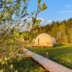 Глэмпинг Ива СПА, Тульская область