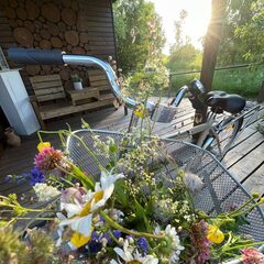 Глэмпинг Ива СПА, Тульская область