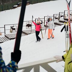 Парк-отель Медвежья гора, Ленинградская область