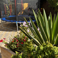 Пансионат Пляж, Краснодарский край