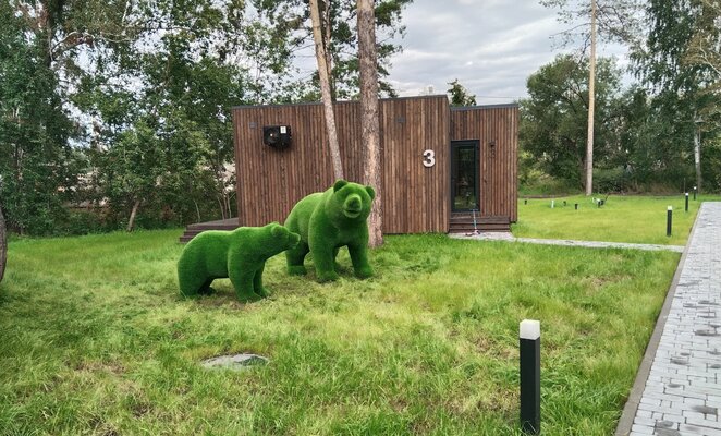 Территория