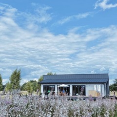 Отель Woody Village Riverside, Московская область