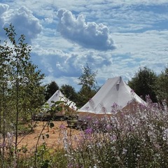 Отель Woody Village Riverside, Московская область
