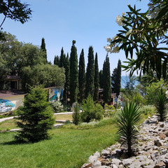 Пансионат Им. Святителя Луки, Крым