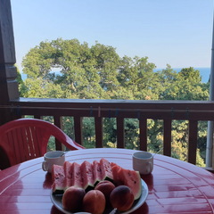 Пансионат Им. Святителя Луки, Крым