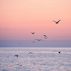 Отель Терра Теана, Крым