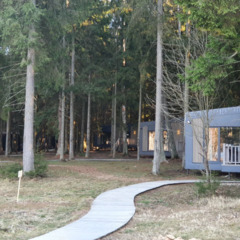 Отель Нешалаши, Московская область