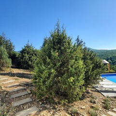 Коттедж Тепло, Краснодарский край