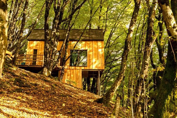 Внешний вид. Домик. Территория