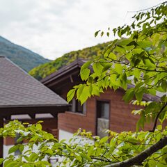 Эко-отель Dom Village, Краснодарский край