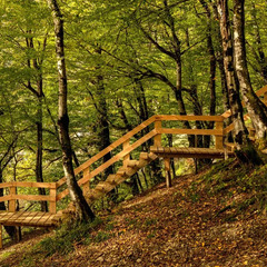 Эко-отель Dom Village, Краснодарский край