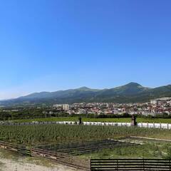 Эко-отель Шато Ди Лиз, Краснодарский край