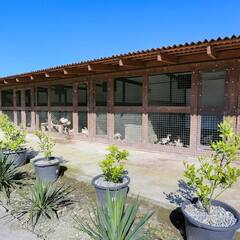 Эко-отель Шато Ди Лиз, Краснодарский край