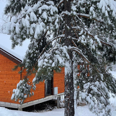 Парк-отель Pro-отдых, Алтайский край