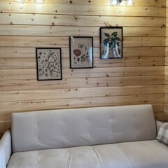 Парк-отель Pro-отдых, Алтайский край