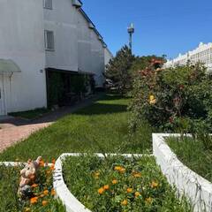 Коттедж Таунхаус на Берегу моря, Краснодарский край