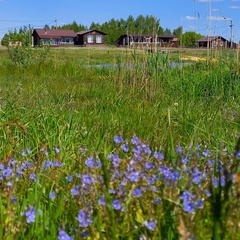 Эко-комплекс Семь озёр , Рязанская область