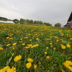 Эко-комплекс Семь озёр , Рязанская область