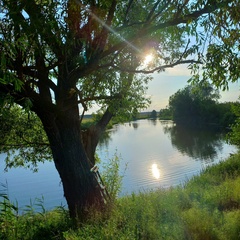 Эко-комплекс Семь озёр , Рязанская область
