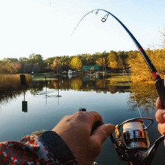 Эко-комплекс Семь озёр , Рязанская область