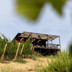 Усадьба Родное гнездо, Севастополь, Крым