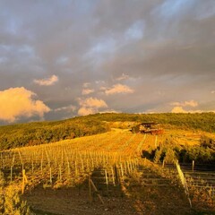 Усадьба Родное гнездо, Севастополь, Крым