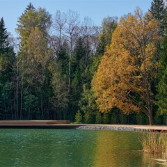Загородный отель Русские Сезоны Эмбиент Парк, Московская область