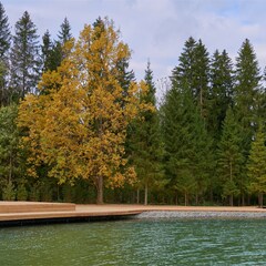 Загородный отель Русские Сезоны Эмбиент Парк, Московская область