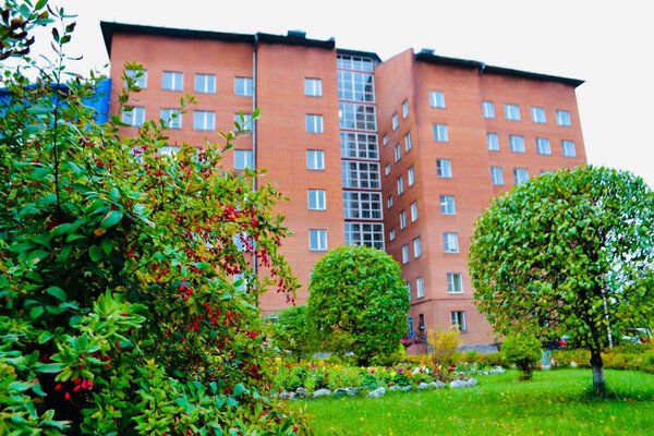 Внешний вид