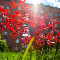 Санаторий-профилакторий Железнодорожник, Кемеровская область