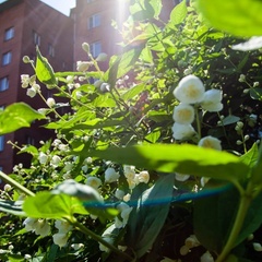 Санаторий-профилакторий Железнодорожник, Кемеровская область