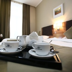 Отель Tskaltubo Plaza, Тбилиси