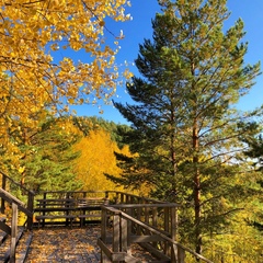 Парк-отель Межа парк-отель, Тюменская область