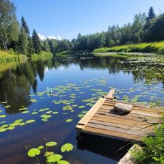 Дом в Верхней Видлице, Республика Карелия
