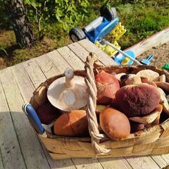 Дом в Верхней Видлице, Республика Карелия