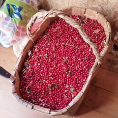 Дом в Верхней Видлице, Республика Карелия